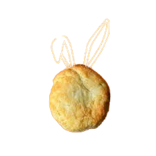 biscuit